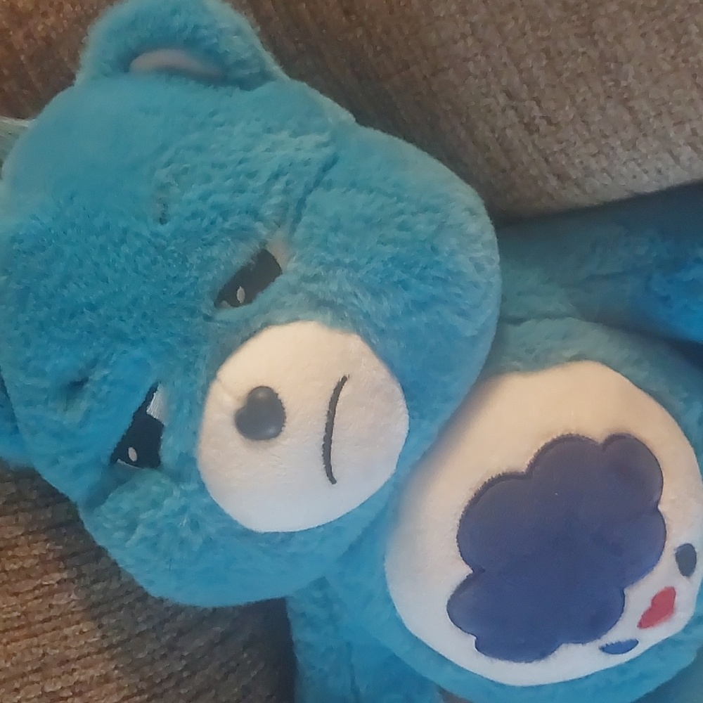 2020 Basic Fun Carebears Grumpy Bear Plush 13" - Picture 7 of 16